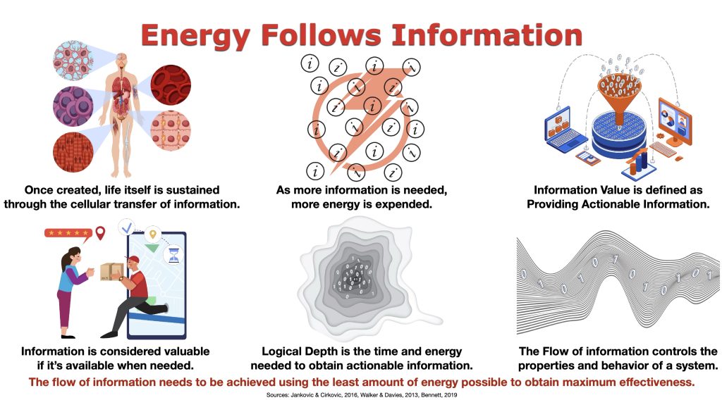 Infographic explaining the principle "Energy Follows Information," illustrating how the flow, availability, and quality of information determine the energy required for decision-making and system performance.