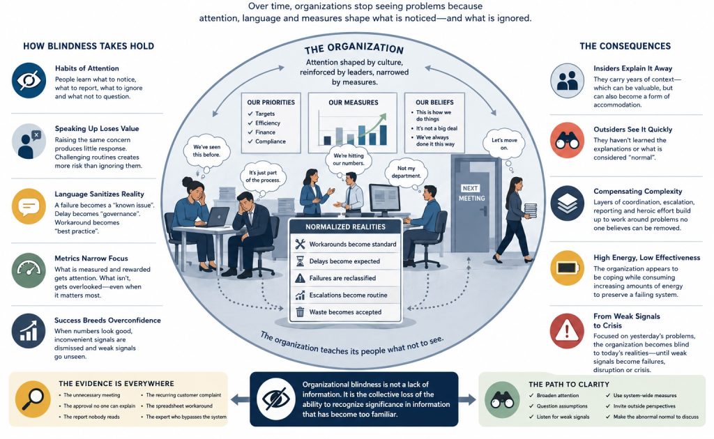 Vector infographic illustrating organizational blindness, showing how culture, language, metrics, and routines gradually normalize waste, workarounds, delays, and inefficiency until they become accepted as standard practice.